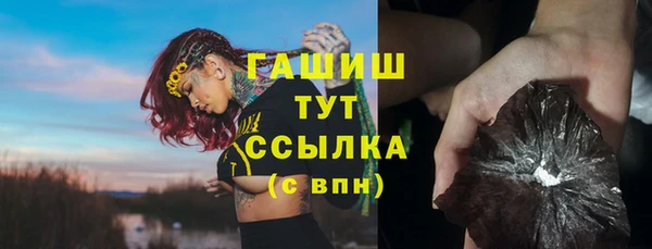 индика Дубна