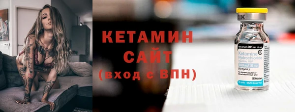 шишки Бородино