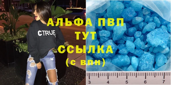 шишки Бородино