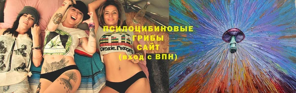 шишки Бородино