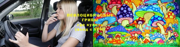 шишки Бородино