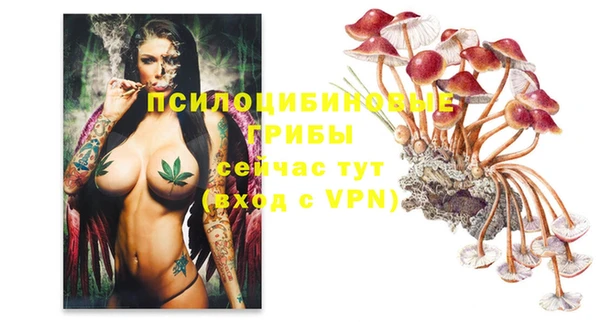 винт Струнино