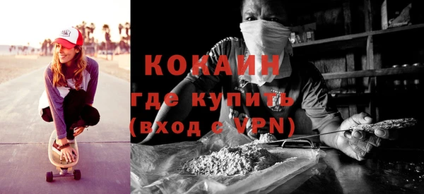 шишки Бородино