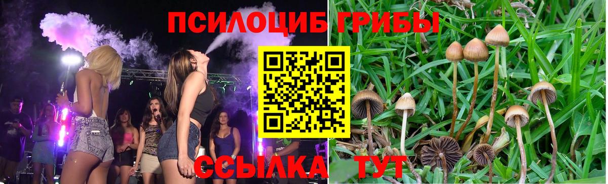 Галлюциногенные грибы GOLDEN TEACHER Рузаевка