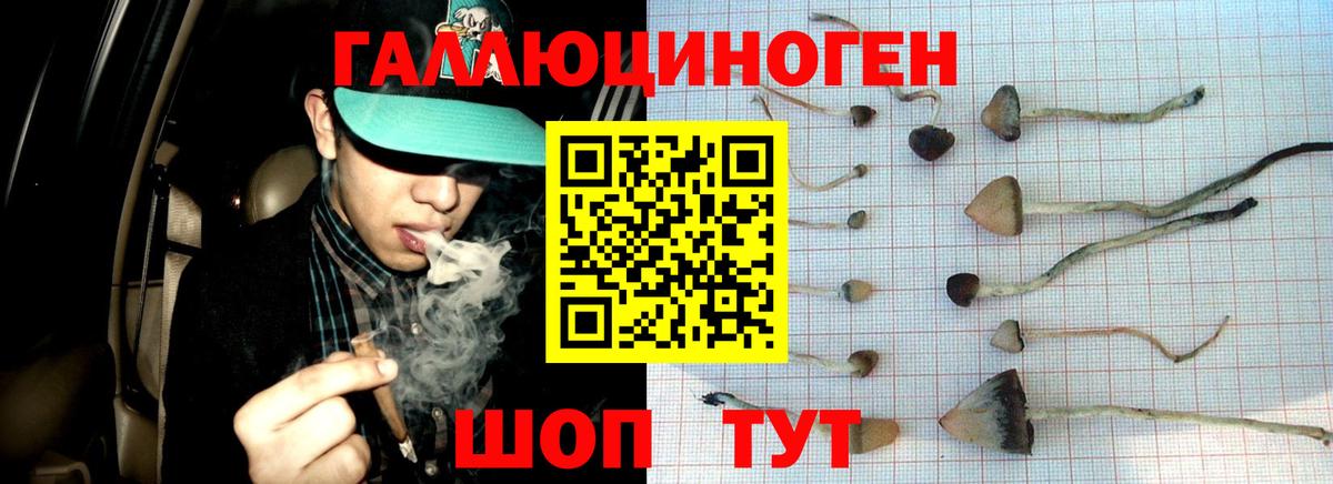 Рузаевка  даркнет сайт  Вход с VPN  Псилоцибиновые грибы MAGIC MUSHROOMS  Псилоцибиновые грибы Psilocybe 
